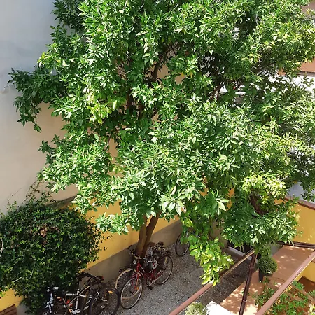 Pensjonat L'aranceto&stilnovo